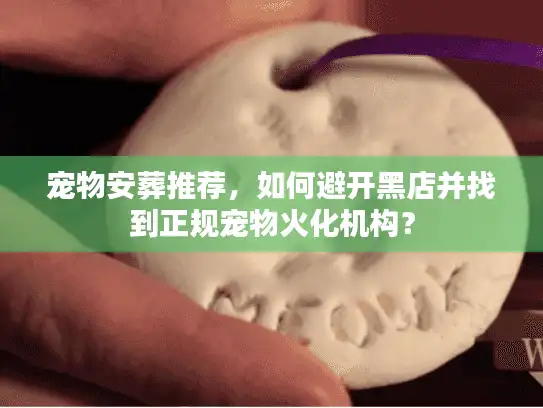 宠物安葬推荐，如何避开黑店并找到正规宠物火化机构？