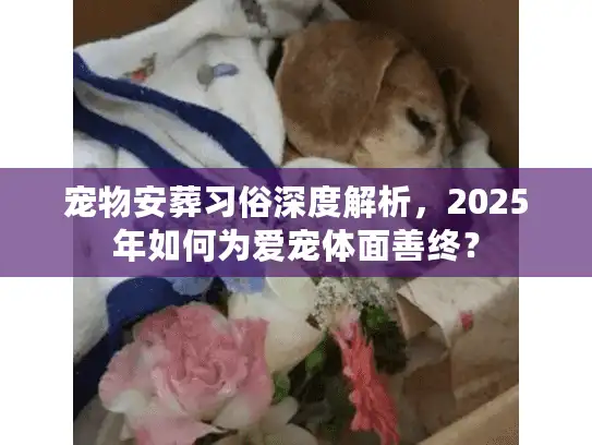 宠物安葬习俗深度解析，2025年如何为爱宠体面善终？