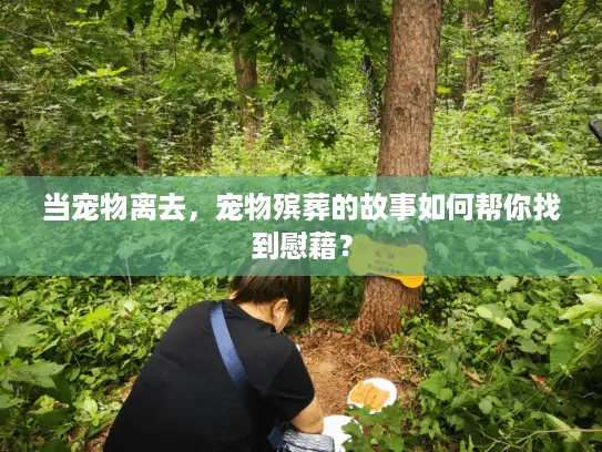 当宠物离去,宠物殡葬的故事如何帮你找到慰藉? 当宠物离去,宠物殡葬的故事如何帮你找到慰藉?