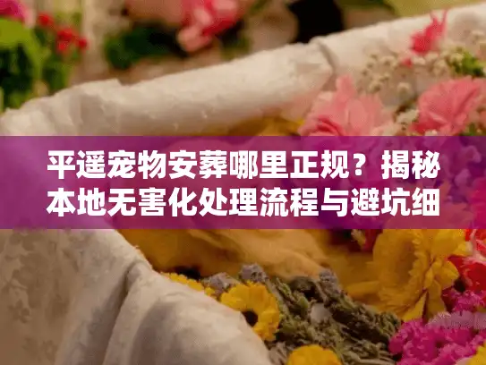 平遥宠物安葬哪里正规？揭秘本地无害化处理流程与避坑细节