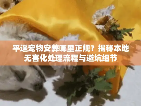 平遥宠物安葬哪里正规？揭秘本地无害化处理流程与避坑细节