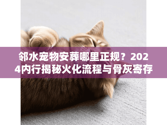 邻水宠物安葬哪里正规？2024内行揭秘火化流程与骨灰寄存