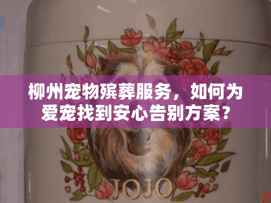 柳州宠物殡葬服务，如何为爱宠找到安心告别方案？