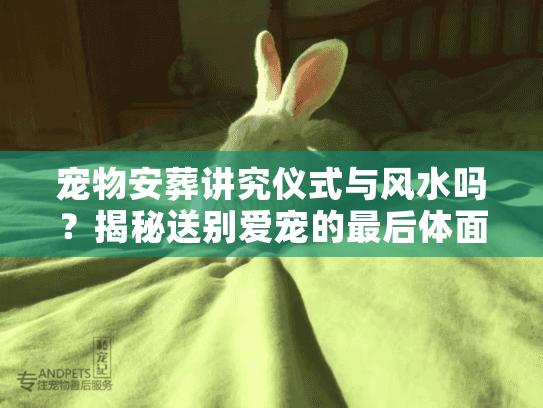 宠物安葬讲究仪式与风水吗?揭秘送别爱宠的最后体面与禁忌 宠物安葬讲究仪式与风水吗?揭秘送别爱宠的最后体面与禁忌