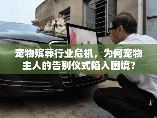 宠物殡葬行业危机，为何宠物主人的告别仪式陷入困境？