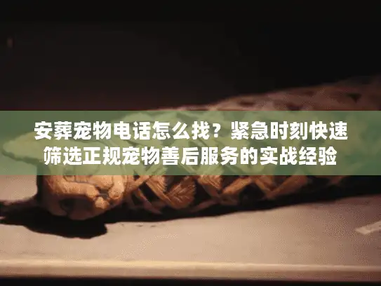 安葬宠物电话怎么找?紧急时刻快速筛选正规宠物善后服务的实战经验 安葬宠物电话怎么找?紧急时刻快速筛选正规宠物善后服务的实战经验