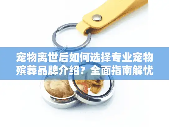 宠物离世后如何选择专业宠物殡葬品牌介绍？全面指南解忧！