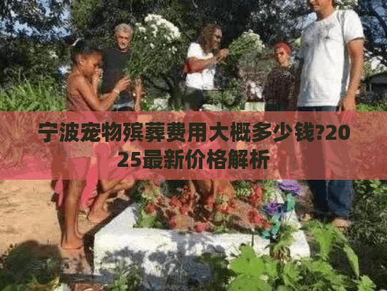 宁波宠物殡葬费用大概多少钱?2025最新价格解析