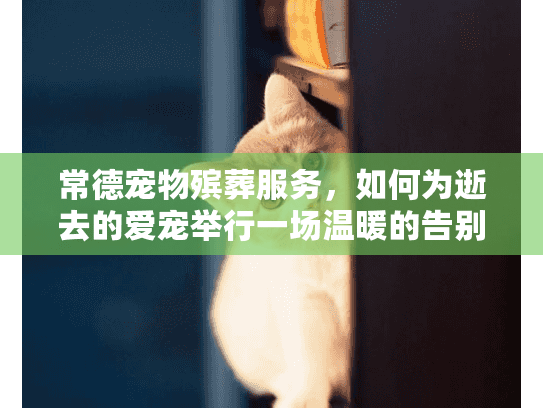 常德宠物殡葬服务，如何为逝去的爱宠举行一场温暖的告别仪式？