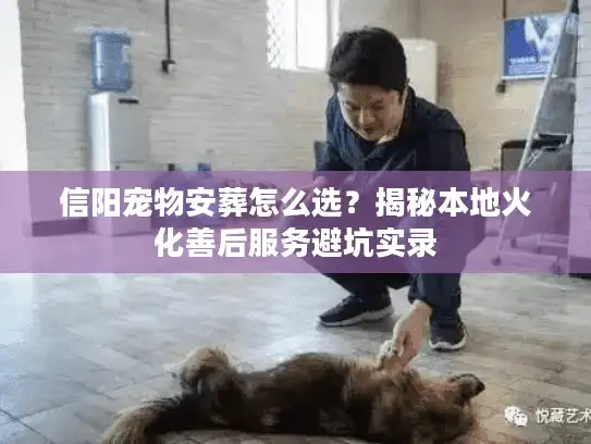 信阳宠物安葬怎么选？揭秘本地火化善后服务避坑实录