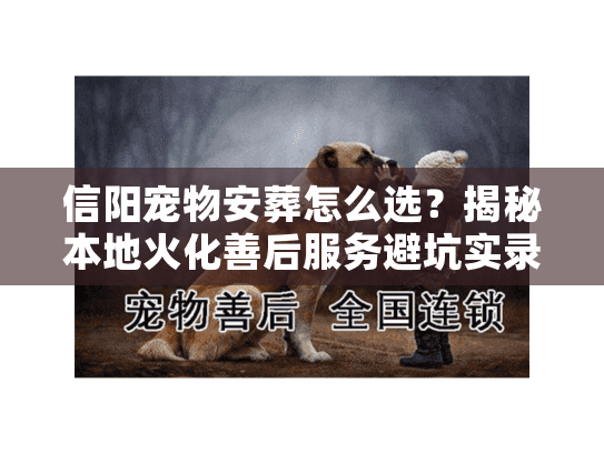 信阳宠物安葬怎么选？揭秘本地火化善后服务避坑实录