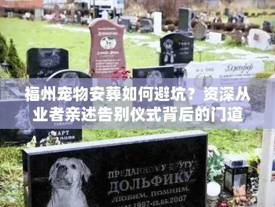 福州宠物安葬如何避坑？资深从业者亲述告别仪式背后的门道