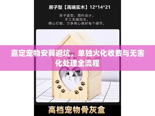 嘉定宠物安葬避坑，单独火化收费与无害化处理全流程