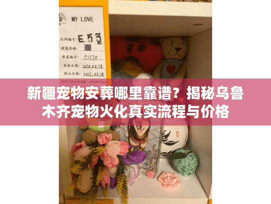 新疆宠物安葬哪里靠谱?揭秘乌鲁木齐宠物火化真实流程与价格 新疆宠物安葬哪里靠谱?揭秘乌鲁木齐宠物火化真实流程与价格