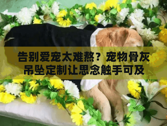 告别爱宠太难熬?宠物骨灰吊坠定制让思念触手可及 告别爱宠太难熬?宠物骨灰吊坠定制让思念触手可及