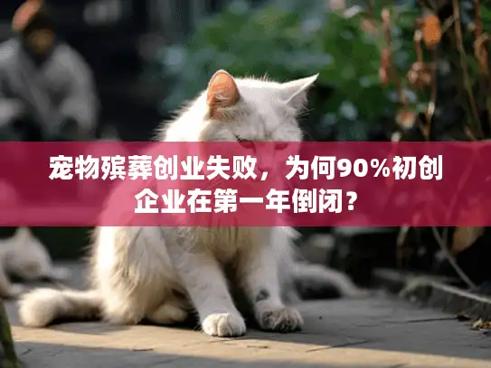 宠物殡葬创业失败，为何90%初创企业在第一年倒闭？