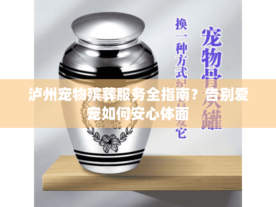 泸州宠物殡葬服务全指南？告别爱宠如何安心体面