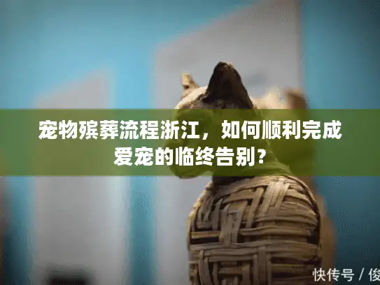 宠物殡葬流程浙江，如何顺利完成爱宠的临终告别？