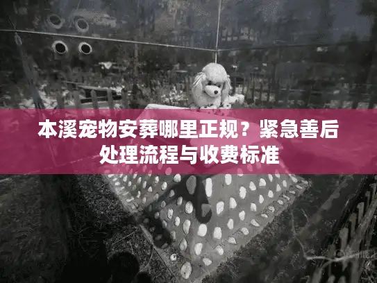 本溪宠物安葬哪里正规？紧急善后处理流程与收费标准