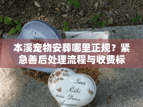 本溪宠物安葬哪里正规？紧急善后处理流程与收费标准