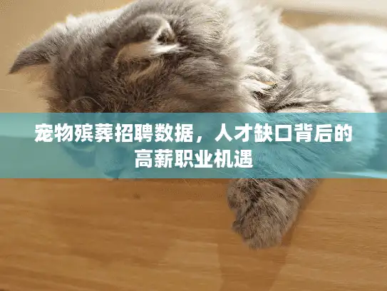 宠物殡葬招聘数据,人才缺口背后的高薪职业机遇 宠物殡葬招聘数据,人才缺口背后的高薪职业机遇