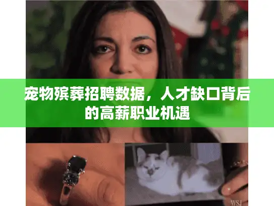 宠物殡葬招聘数据,人才缺口背后的高薪职业机遇 宠物殡葬招聘数据,人才缺口背后的高薪职业机遇