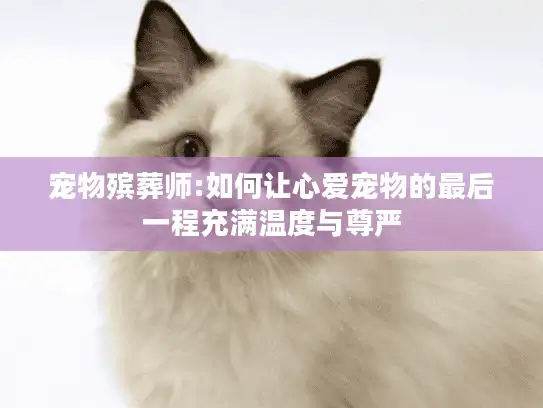 宠物殡葬师:如何让心爱宠物的最后一程充满温度与尊严