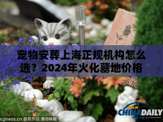 宠物安葬上海正规机构怎么选？2024年火化墓地价格内幕
