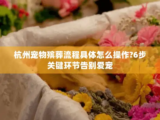 杭州宠物殡葬流程具体怎么操作?6步关键环节告别爱宠