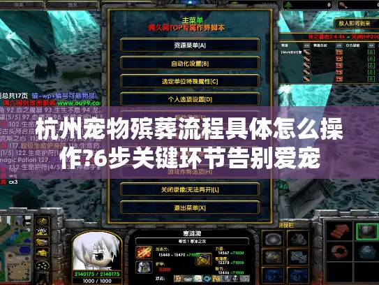 杭州宠物殡葬流程具体怎么操作?6步关键环节告别爱宠