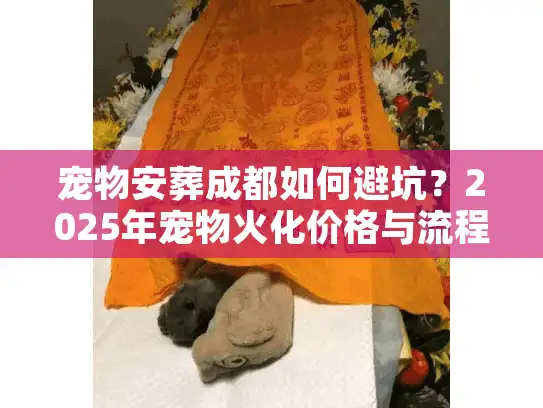 宠物安葬成都如何避坑?2025年宠物火化价格与流程实录 宠物安葬成都如何避坑?2025年宠物火化价格与流程实录
