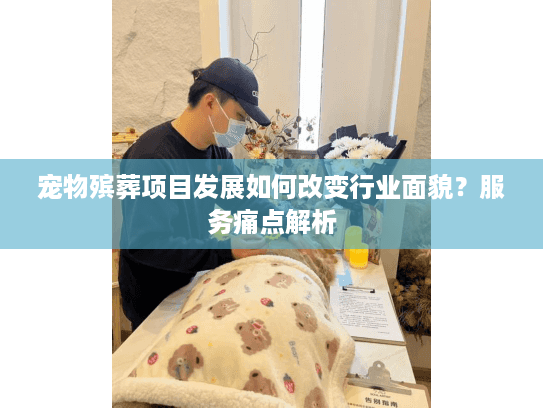 宠物殡葬项目发展如何改变行业面貌?服务痛点解析 宠物殡葬项目发展如何改变行业面貌?服务痛点解析