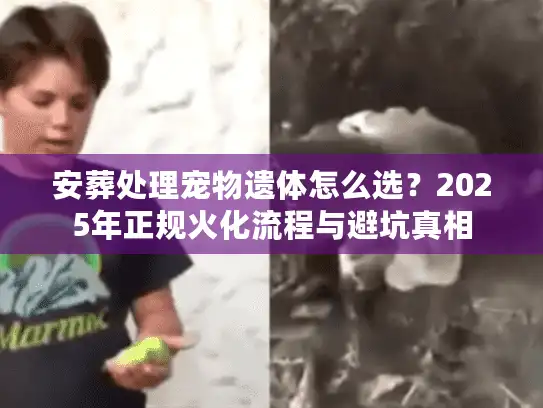 安葬处理宠物遗体怎么选？2025年正规火化流程与避坑真相