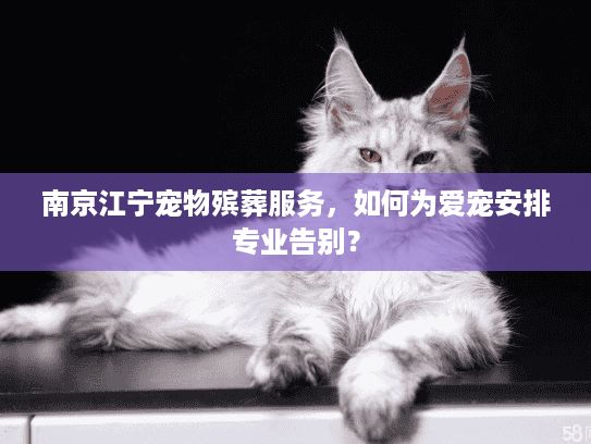 南京江宁宠物殡葬服务，如何为爱宠安排专业告别？