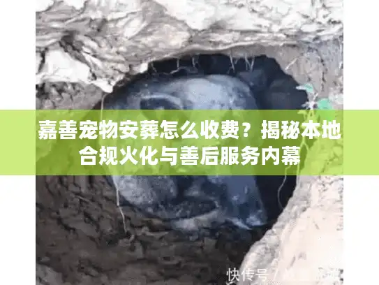 嘉善宠物安葬怎么收费?揭秘本地合规火化与善后服务内幕 嘉善宠物安葬怎么收费?揭秘本地合规火化与善后服务内幕