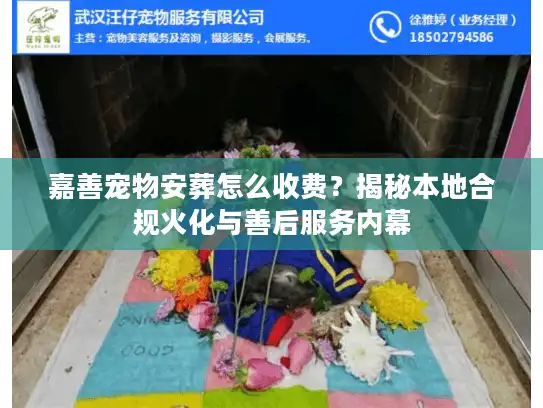 嘉善宠物安葬怎么收费?揭秘本地合规火化与善后服务内幕 嘉善宠物安葬怎么收费?揭秘本地合规火化与善后服务内幕