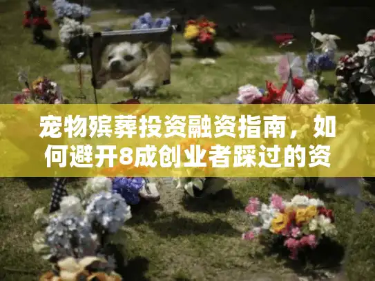 宠物殡葬投资融资指南,如何避开8成创业者踩过的资金陷阱? 宠物殡葬投资融资指南,如何避开8成创业者踩过的资金陷阱?