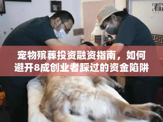 宠物殡葬投资融资指南,如何避开8成创业者踩过的资金陷阱? 宠物殡葬投资融资指南,如何避开8成创业者踩过的资金陷阱?