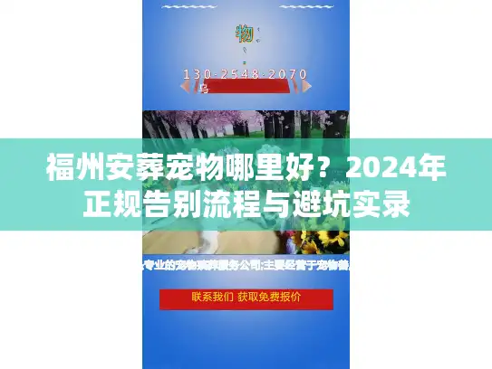 福州安葬宠物哪里好？2024年正规告别流程与避坑实录