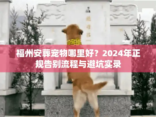 福州安葬宠物哪里好？2024年正规告别流程与避坑实录