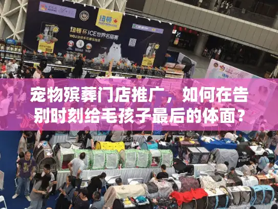 宠物殡葬门店推广，如何在告别时刻给毛孩子最后的体面？