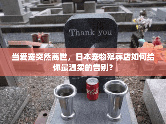 当爱宠突然离世，日本宠物殡葬店如何给你最温柔的告别？