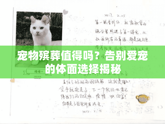 宠物殡葬值得吗？告别爱宠的体面选择揭秘