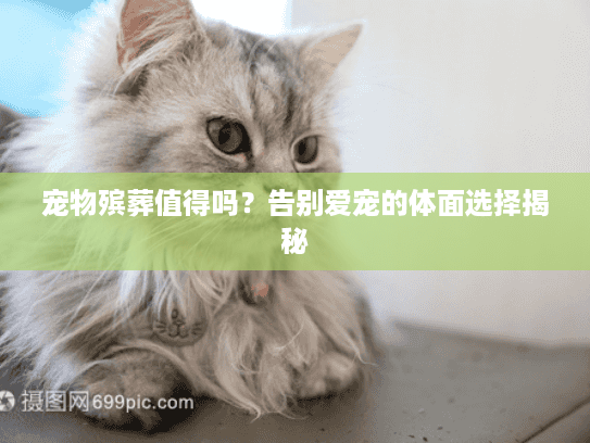 宠物殡葬值得吗？告别爱宠的体面选择揭秘