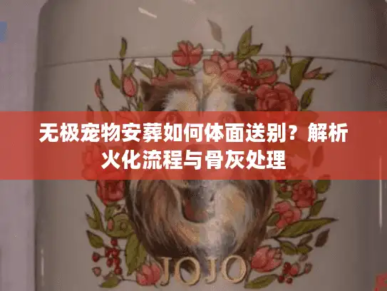 无极宠物安葬如何体面送别？解析火化流程与骨灰处理