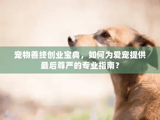 宠物善终创业宝典,如何为爱宠提供最后尊严的专业指南? 宠物善终创业宝典,如何为爱宠提供最后尊严的专业指南?