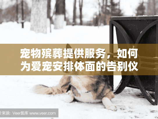 宠物殡葬提供服务，如何为爱宠安排体面的告别仪式？
