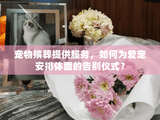 宠物殡葬提供服务，如何为爱宠安排体面的告别仪式？