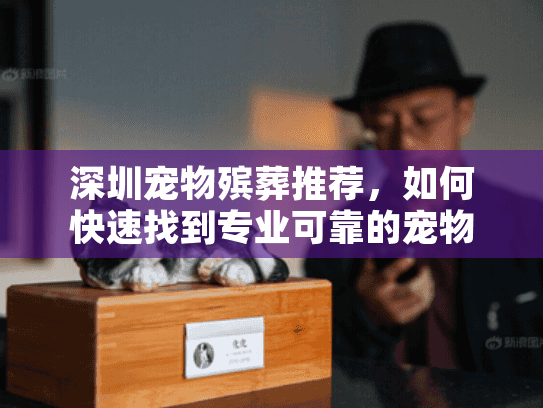 深圳宠物殡葬推荐，如何快速找到专业可靠的宠物告别服务？