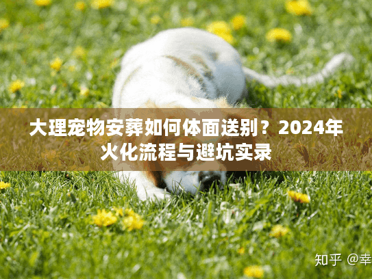 大理宠物安葬如何体面送别？2024年火化流程与避坑实录